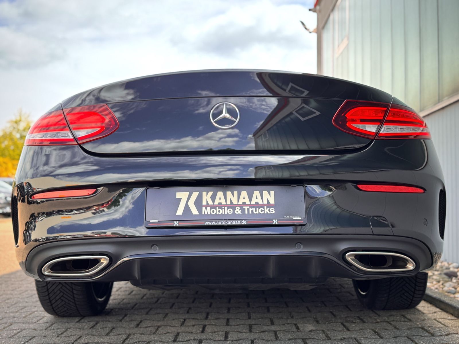 Fahrzeugabbildung Mercedes-Benz C 300 Cabriolet AMG-Line*ASSIST|LEDER ROT|NIGHT*
